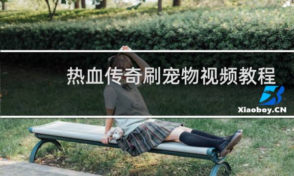 热血传奇刷宠物视频教程