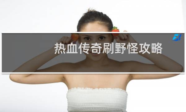 热血传奇刷野怪攻略