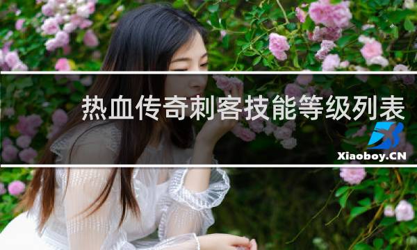 热血传奇刺客技能等级列表