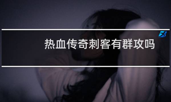 热血传奇刺客有群攻吗