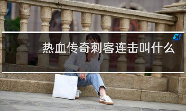 热血传奇刺客连击叫什么