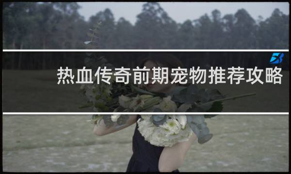 热血传奇前期宠物推荐攻略