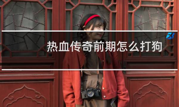 热血传奇前期怎么打狗