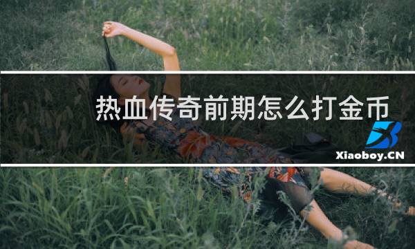 热血传奇前期怎么打金币