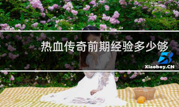 热血传奇前期经验多少够