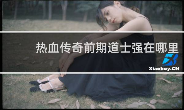 热血传奇前期道士强在哪里