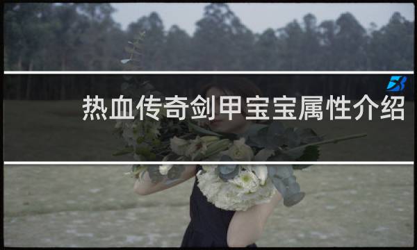 热血传奇剑甲宝宝属性介绍
