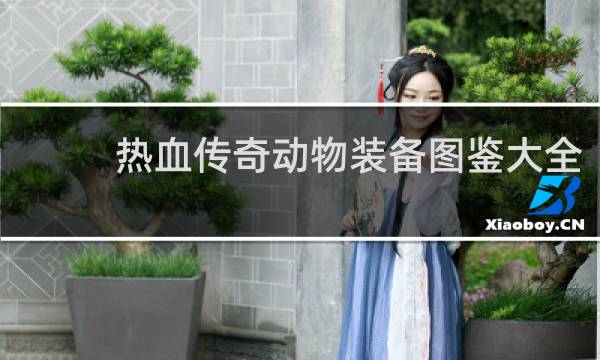 热血传奇动物装备图鉴大全