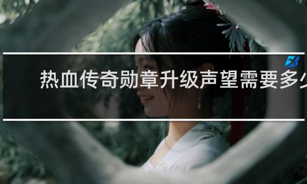 热血传奇勋章升级声望需要多少