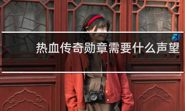 热血传奇勋章需要什么声望