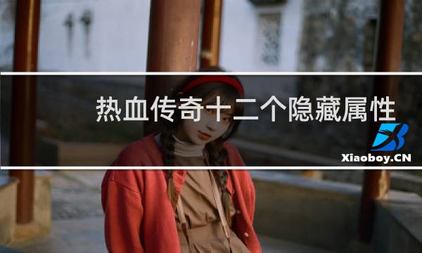 热血传奇十二个隐藏属性