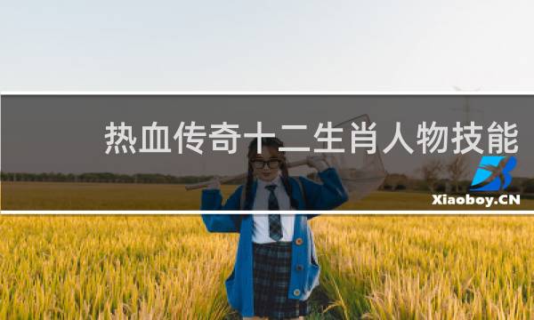 热血传奇十二生肖人物技能