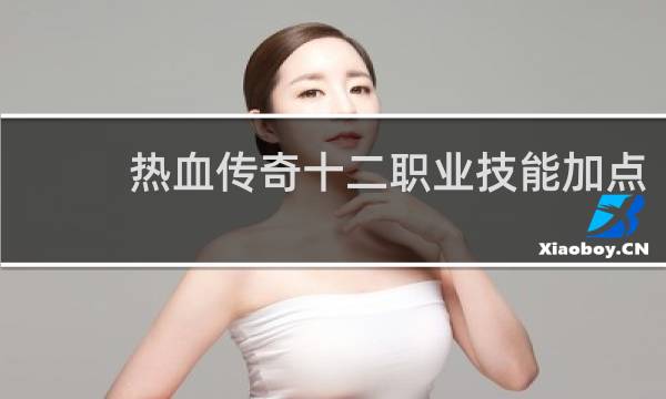 热血传奇十二职业技能加点