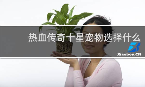 热血传奇十星宠物选择什么
