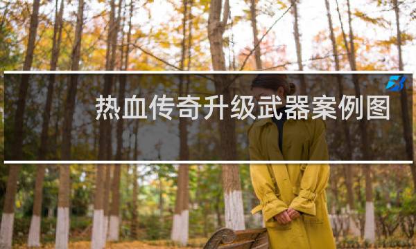 热血传奇升级武器案例图