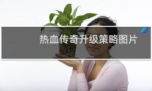 热血传奇升级策略图片