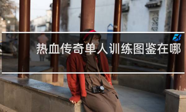 热血传奇单人训练图鉴在哪