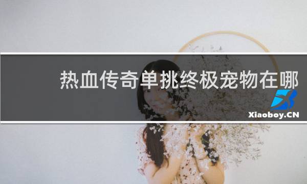 热血传奇单挑终极宠物在哪