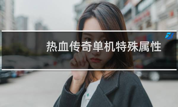 热血传奇单机特殊属性