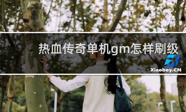 热血传奇单机gm怎样刷级