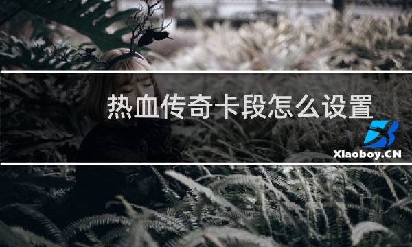 热血传奇卡段怎么设置