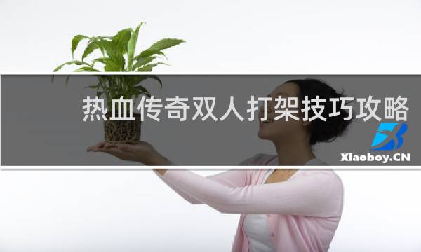 热血传奇双人打架技巧攻略