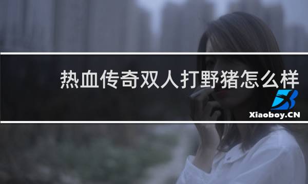 热血传奇双人打野猪怎么样