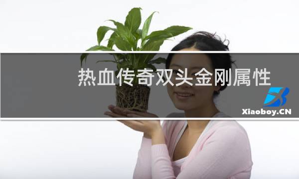 热血传奇双头金刚属性