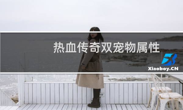 热血传奇双宠物属性