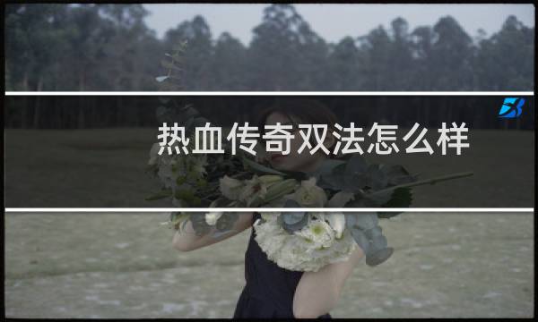 热血传奇双法怎么样