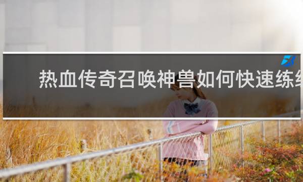 热血传奇召唤神兽如何快速练级