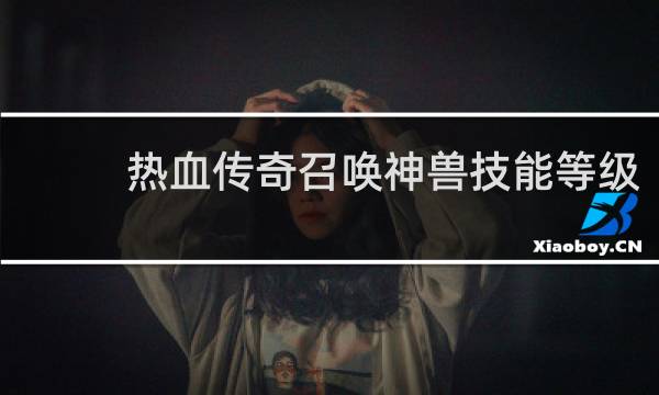 热血传奇召唤神兽技能等级