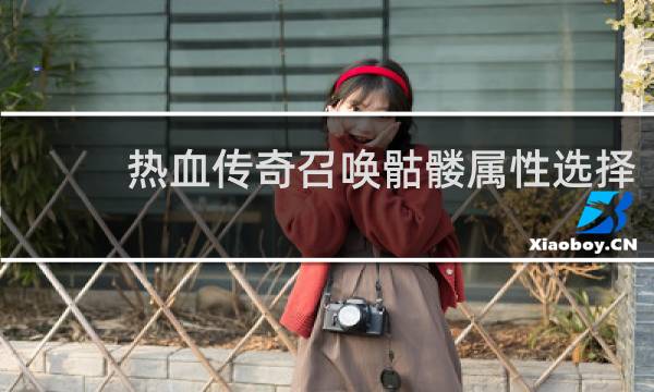 热血传奇召唤骷髅属性选择