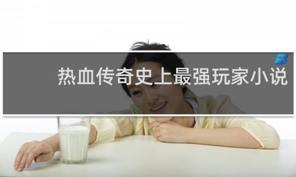 热血传奇史上最强玩家小说