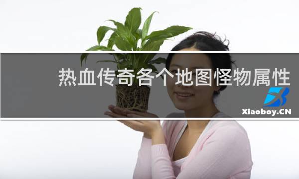 热血传奇各个地图怪物属性
