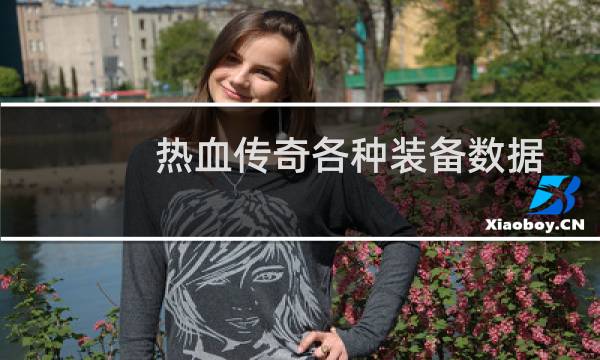 热血传奇各种装备数据