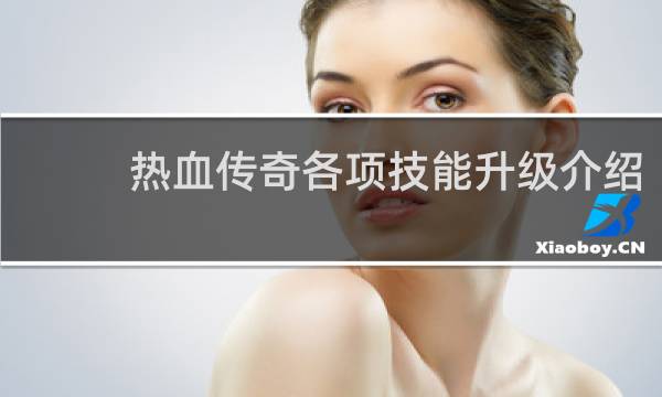 热血传奇各项技能升级介绍