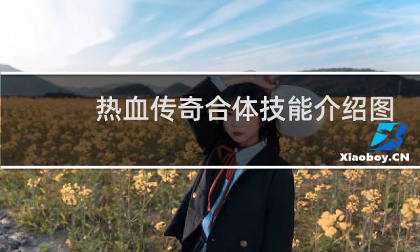 热血传奇合体技能介绍图