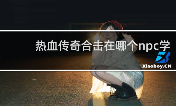 热血传奇合击在哪个npc学