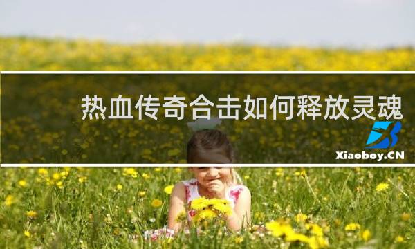 热血传奇合击如何释放灵魂