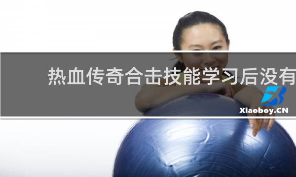 热血传奇合击技能学习后没有
