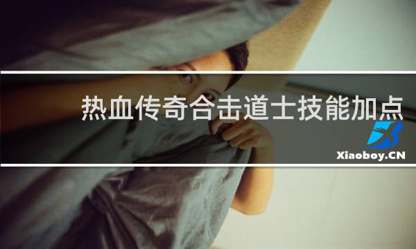 热血传奇合击道士技能加点