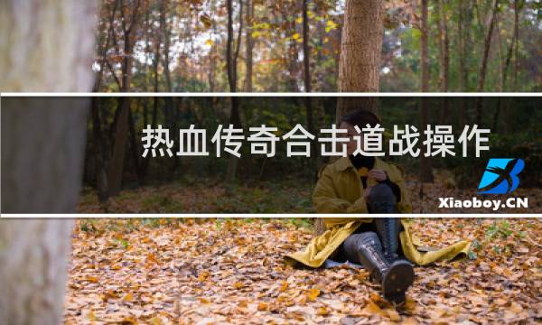 热血传奇合击道战操作