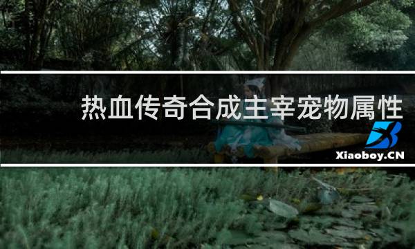 热血传奇合成主宰宠物属性
