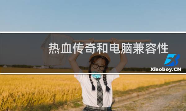 热血传奇和电脑兼容性