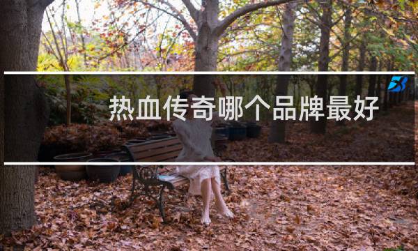 热血传奇哪个品牌最好