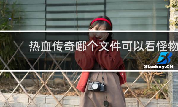 热血传奇哪个文件可以看怪物