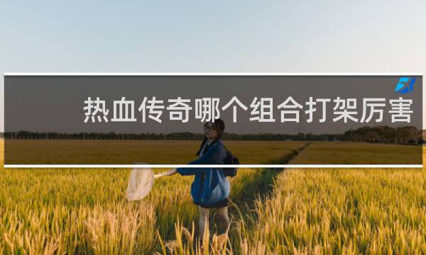热血传奇哪个组合打架厉害