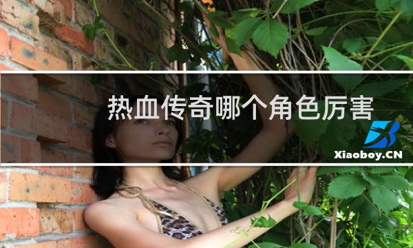 热血传奇哪个角色厉害
