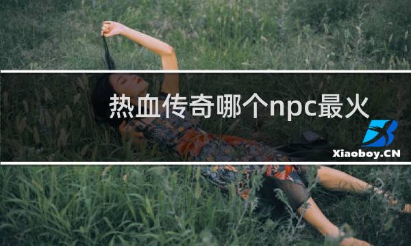 热血传奇哪个npc最火
